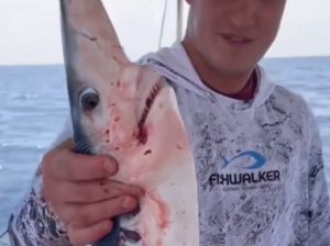 Рыбак держит акулу в руках