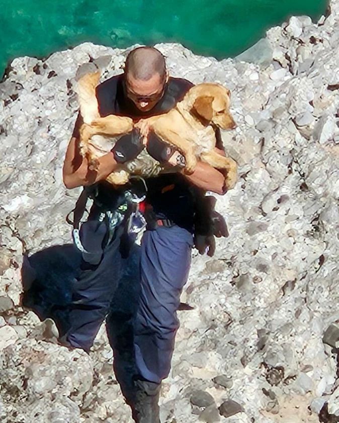 Спасенная собака на руках спасателя