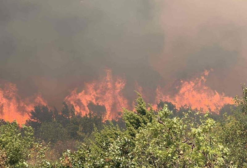 Лесной пожар в Джурковичи у Подгорицы