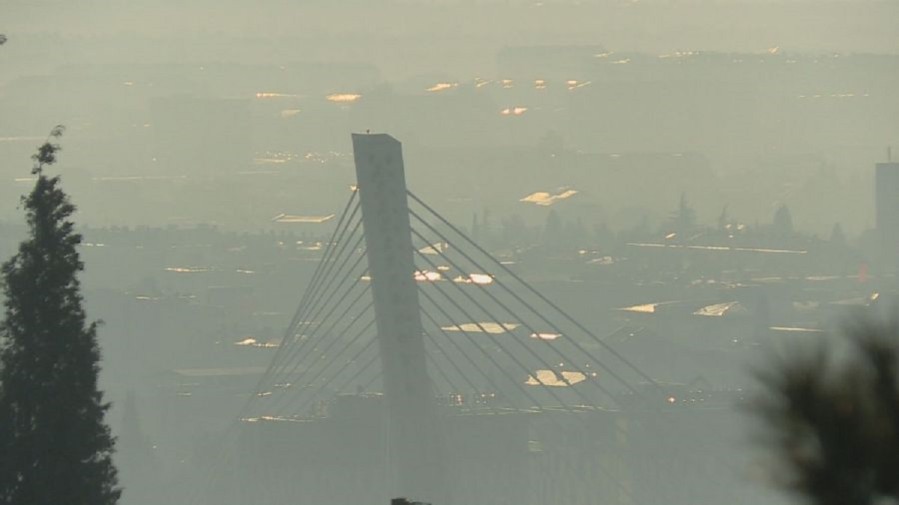 Подгорица в тумане