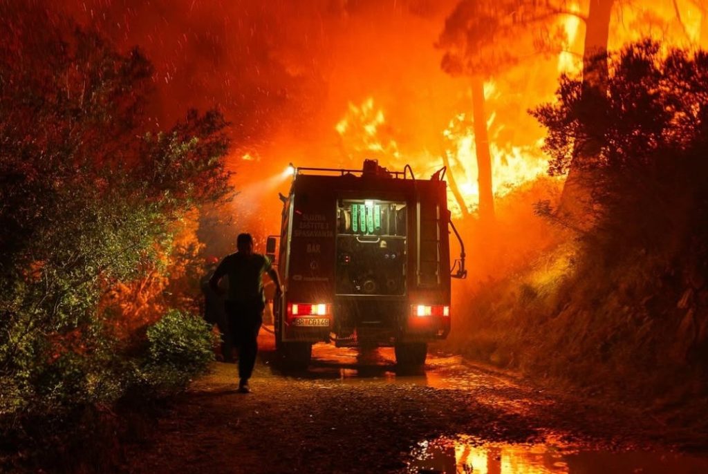 Тушение лесного пожара в Черногории