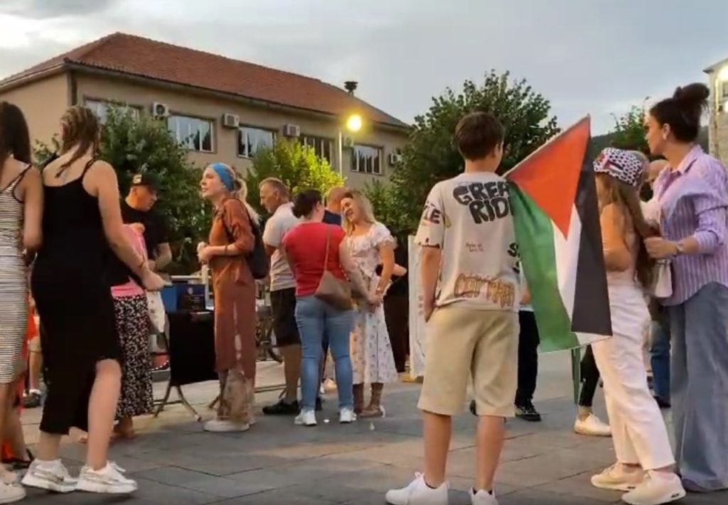 Митингующие в поддержку народа Палестины в Плевле