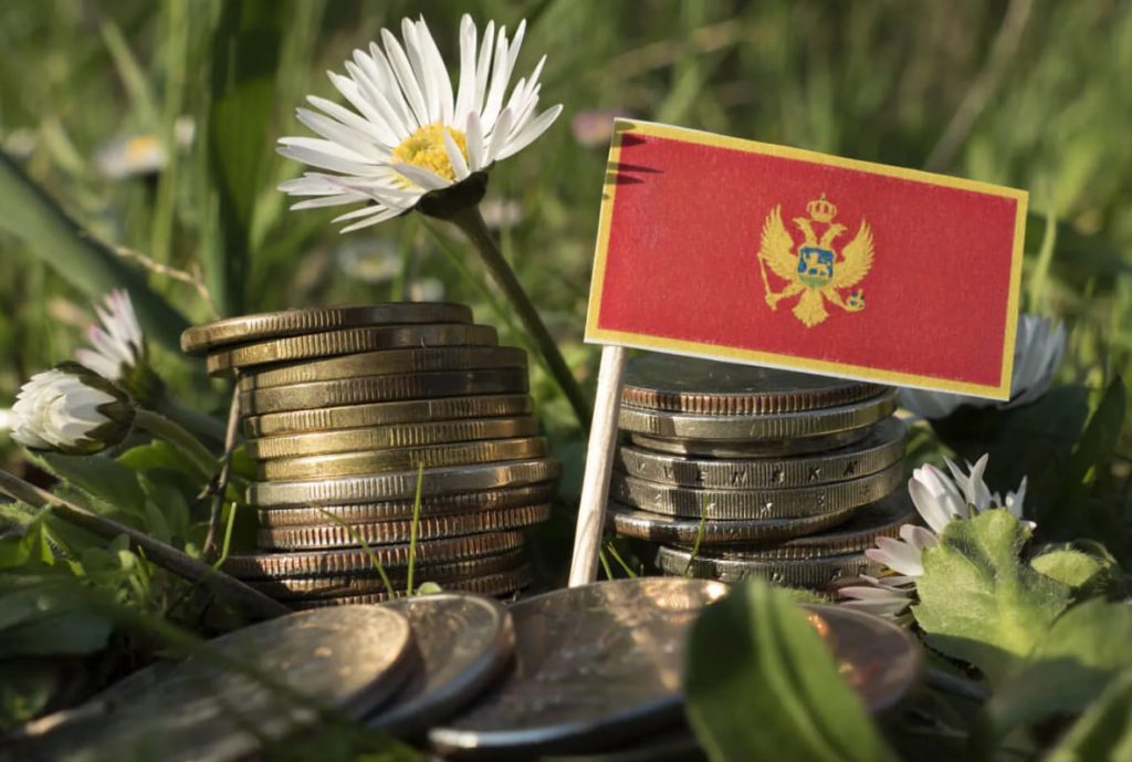 Флаг Черногории и деньги