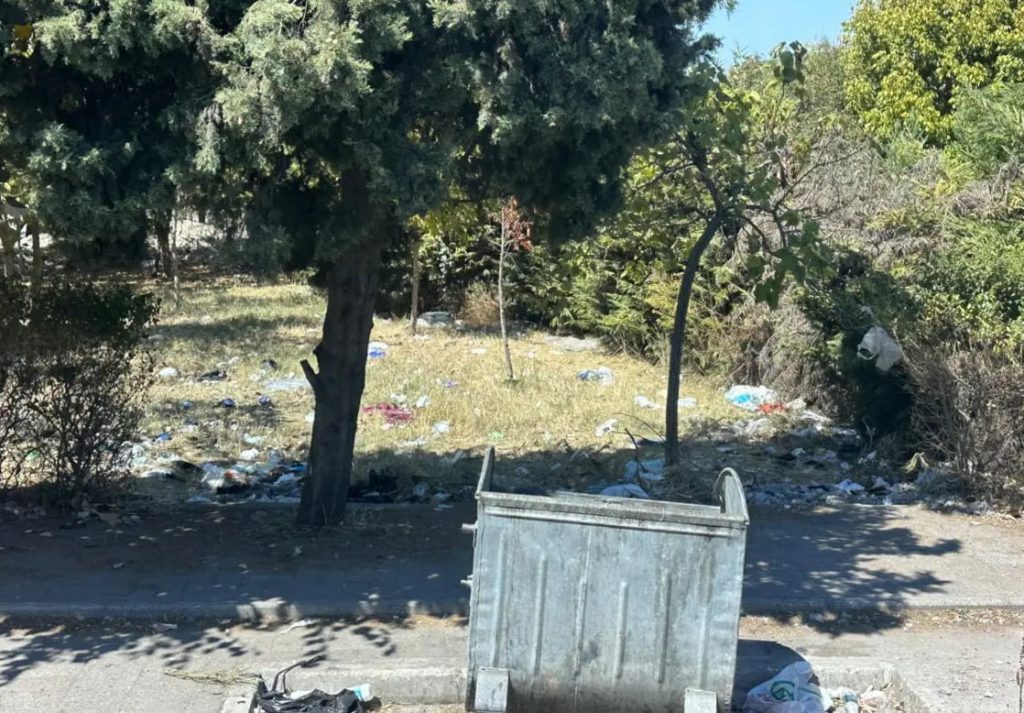 Мусор на поляне вокруг контейнера