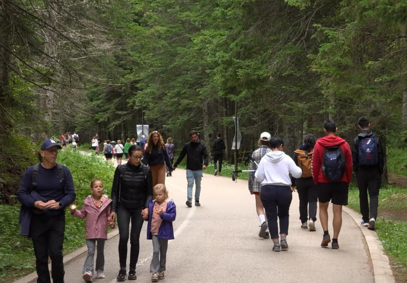 Туристы в Национальном парке Дурмитор в Черногории