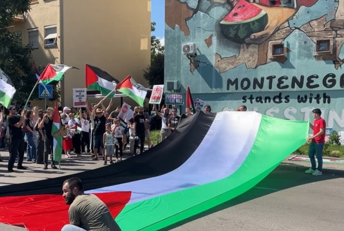Протестующие развернули флаг Палестины в Подгорице