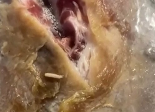 Черви в свиных ребрышках