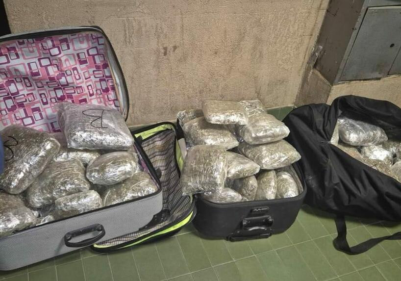 Пакеты изъятой марихуаны