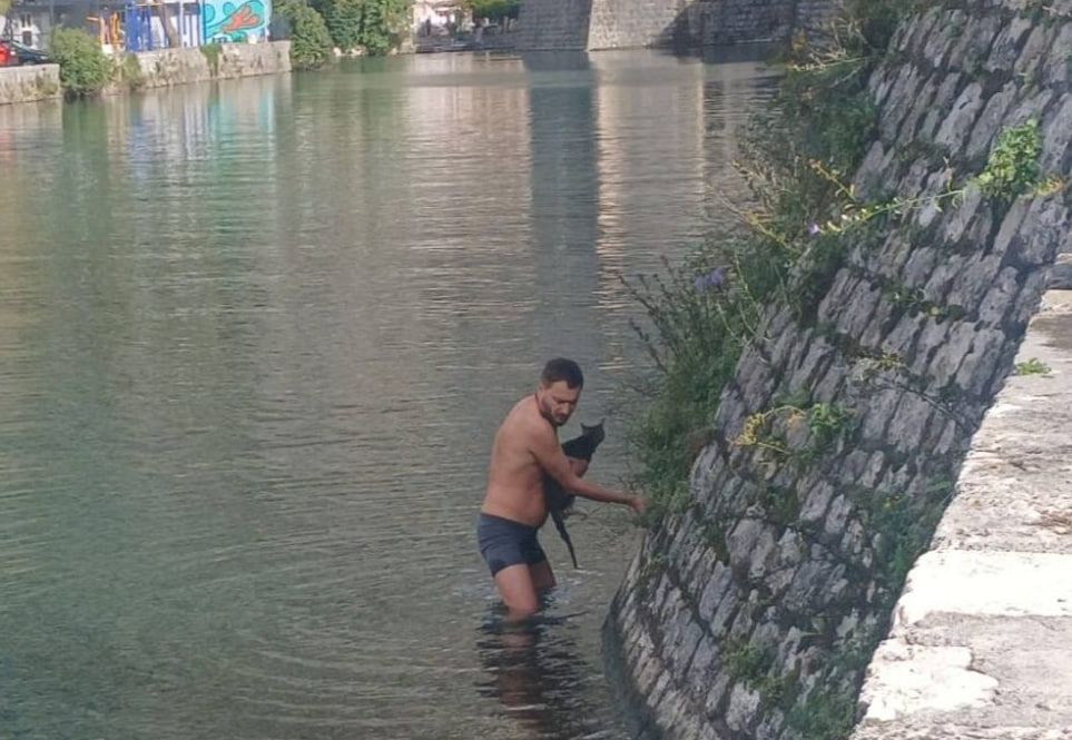 Мужчина выносит кошку из реки Шкурда в Которе
