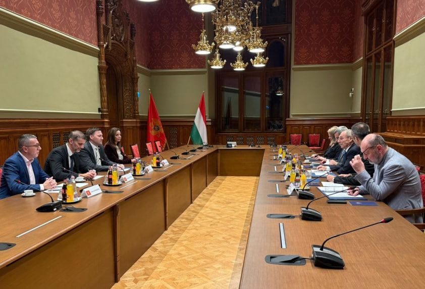 Встреча дипломатов Черногории и Венгрии