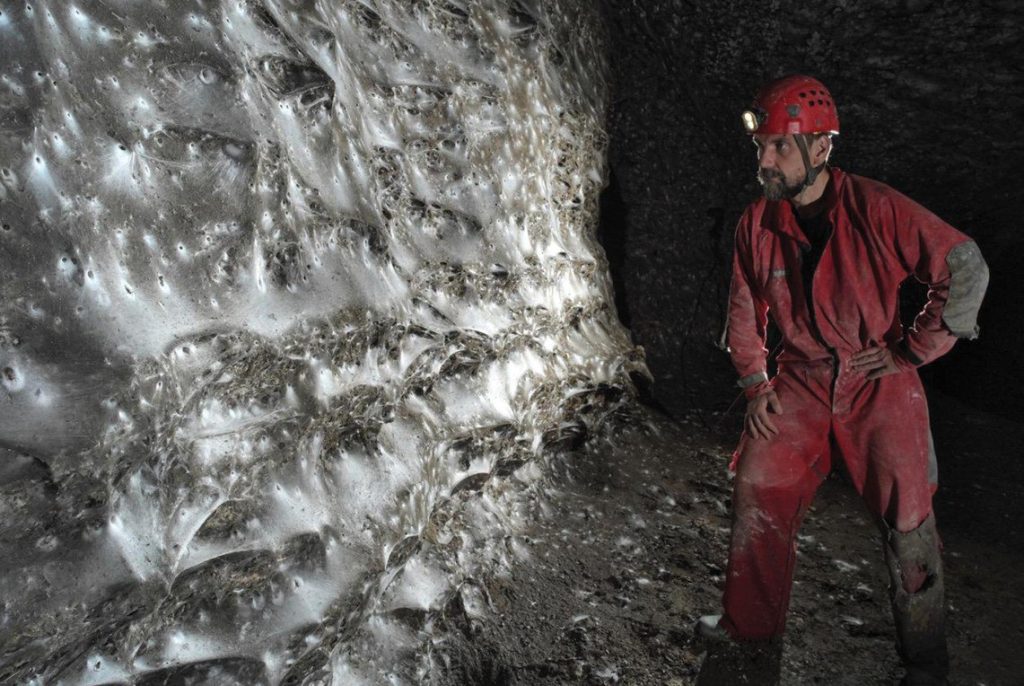 Крупнейшая паутина на границе Албании и Греции