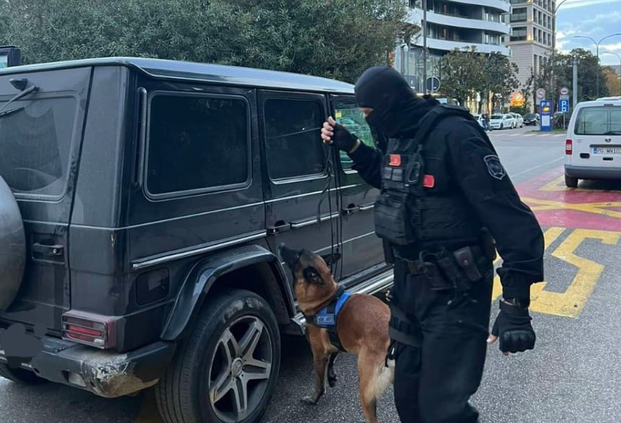 Полицейский проверяет автомобиль в Будве