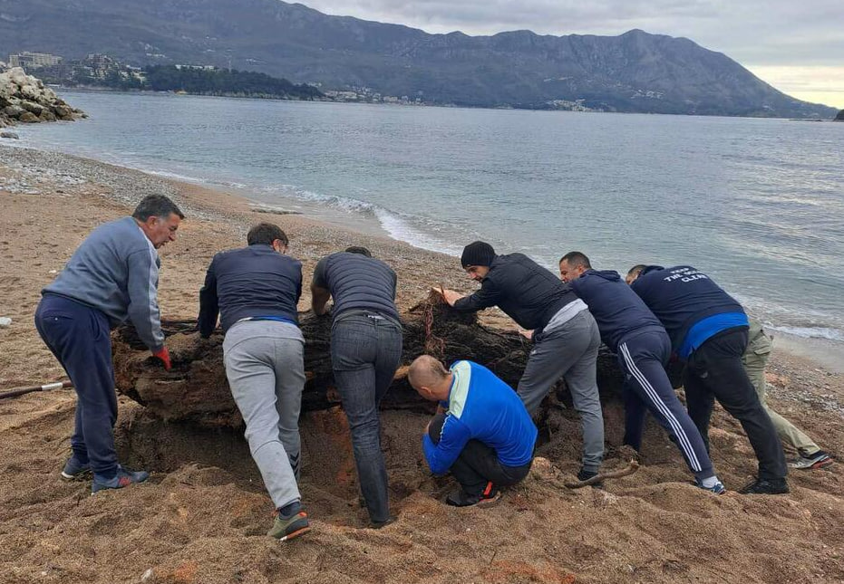 Уборка пляжа Пизана в Будве