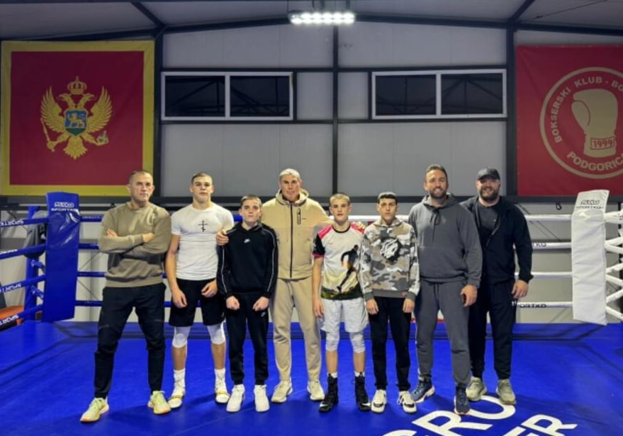 Черногорские боксеры