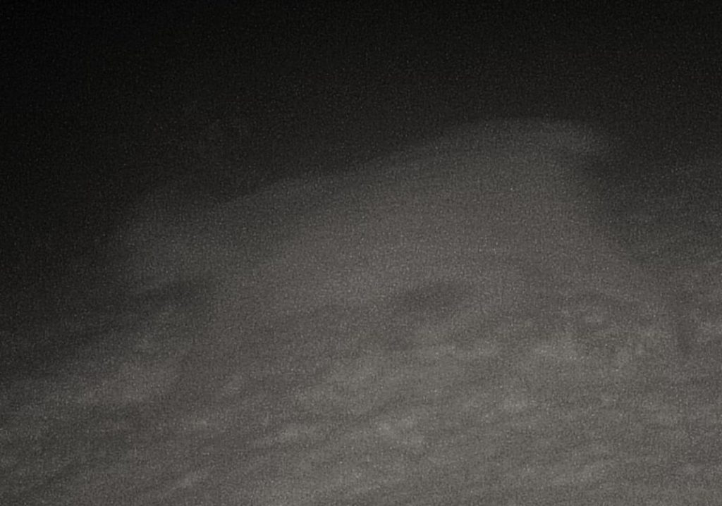 Снимок рыси с камеры-ловушки