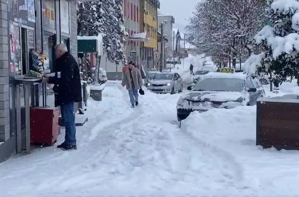 Заснеженная Плевля