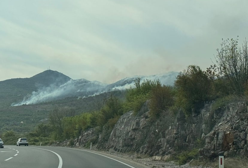 Лесной пожар в Черногории