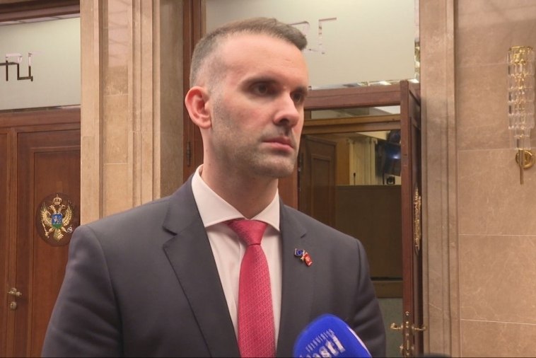Милойко Спаич